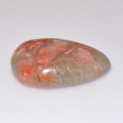 5.97캐럿 천연 멀티컬러 산호, 배 모양, 16.5×11.8 mm, 투명한