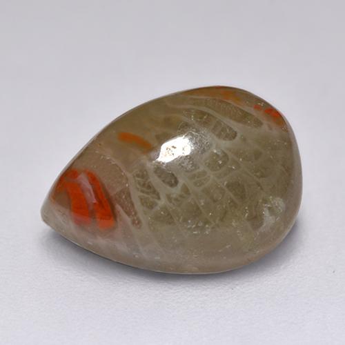 2.23캐럿 천연 멀티컬러 산호, 배 모양, 10.4×7.3 mm, 투명한