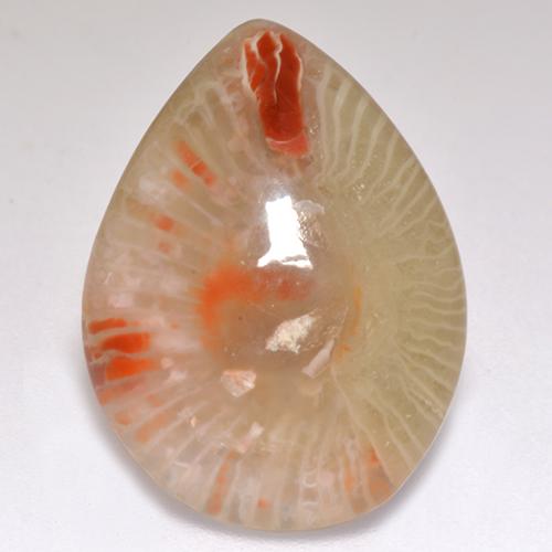 9.83캐럿 천연 멀티컬러 산호, 배 모양, 20.3×15.1 mm, 투명한