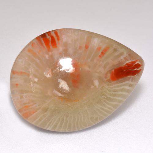 9.83캐럿 천연 멀티컬러 산호, 배 모양, 20.3×15.1 mm, 투명한