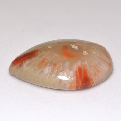 9.83캐럿 천연 멀티컬러 산호, 배 모양, 20.3×15.1 mm, 투명한