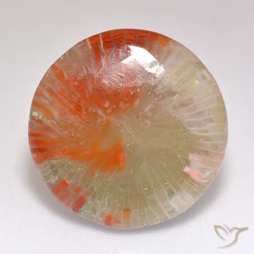 9.29ct 자연스러운 다색 산호, 둥근, 투명한