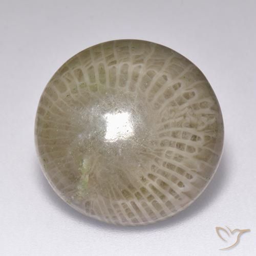 9.39ct 자연스러운 다색 산호, 둥근, 불투명체