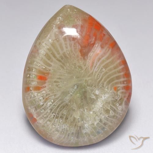 9.84캐럿 천연 멀티컬러 산호, 배 모양, 19.6×15 mm, 투명한