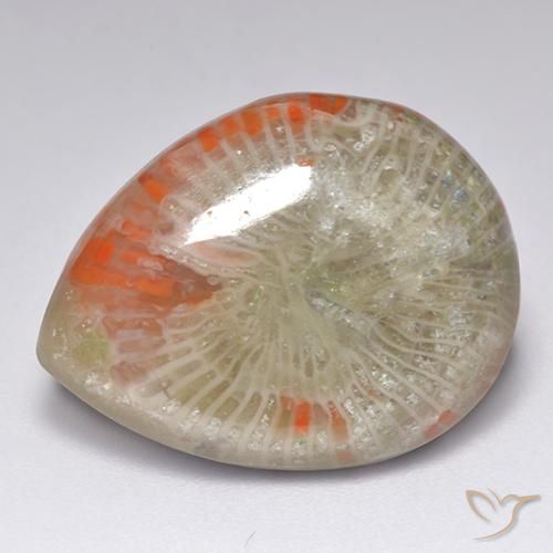 9.84캐럿 천연 멀티컬러 산호, 배 모양, 19.6×15 mm, 투명한