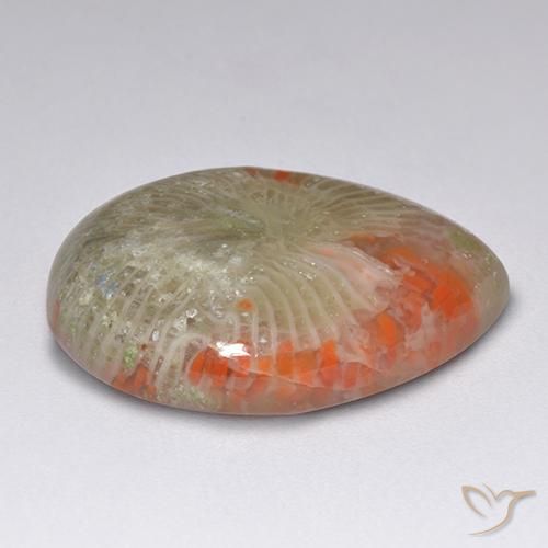 9.84캐럿 천연 멀티컬러 산호, 배 모양, 19.6×15 mm, 투명한