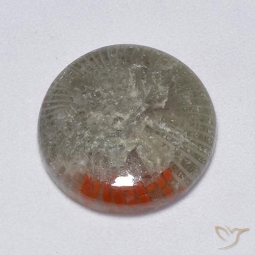6.25ct 자연스러운 다색 산호, 둥근, 투명한