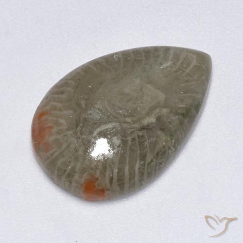 5.79ct 자연스러운 다색 산호, 배 모양, 투명한
