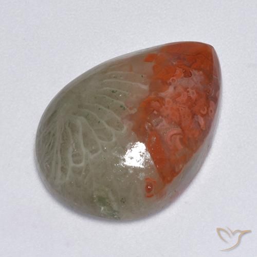 8.14ct 자연스러운 다색 산호, 배 모양, 투명한