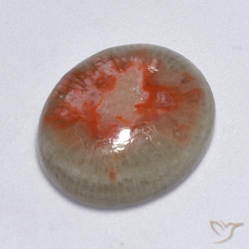 7.75ct 자연스러운 다색 산호, 타원형, 투명한