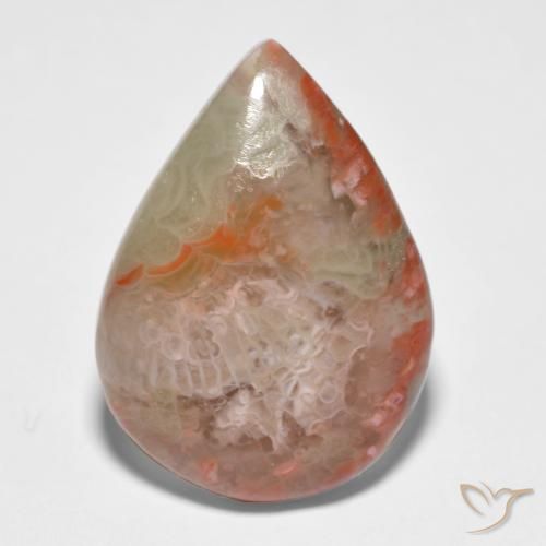 11.65ct 자연스러운 다색 산호, 배 모양, 투명한