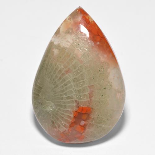 15.90캐럿 천연 멀티컬러 산호, 배 모양, 25.1×17.2 mm, 투명한