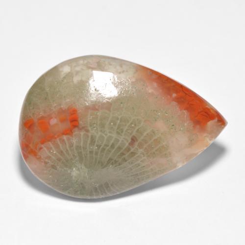 15.90캐럿 천연 멀티컬러 산호, 배 모양, 25.1×17.2 mm, 투명한