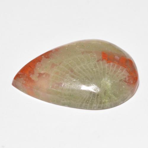 15.90캐럿 천연 멀티컬러 산호, 배 모양, 25.1×17.2 mm, 투명한