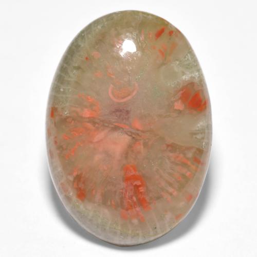 10.04캐럿 천연 멀티컬러 산호, 타원형 컷, 19.7×14 mm, 투명한