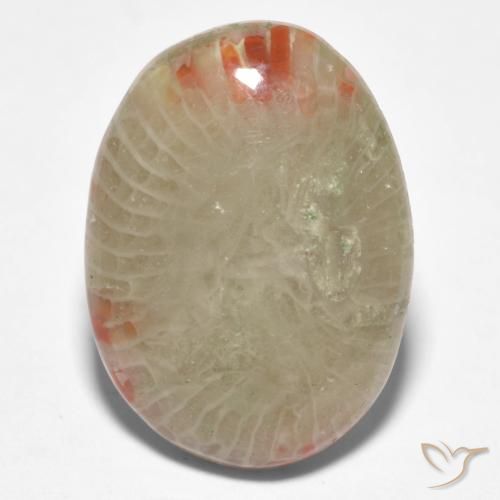 8.81ct 자연스러운 다색 산호, 타원형, 투명한