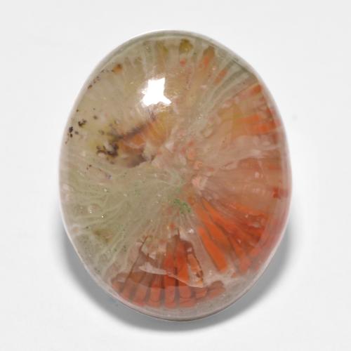 11.35캐럿 천연 멀티컬러 산호, 타원형 컷, 17.9×14.5 mm, 투명한