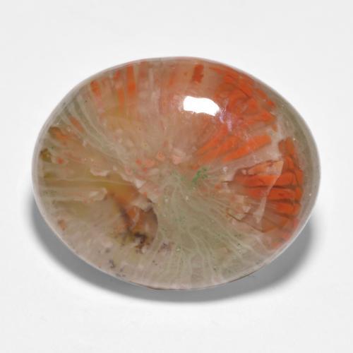 11.35캐럿 천연 멀티컬러 산호, 타원형 컷, 17.9×14.5 mm, 투명한