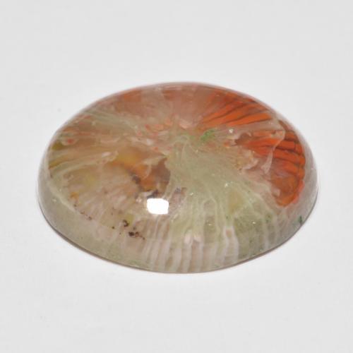 11.35캐럿 천연 멀티컬러 산호, 타원형 컷, 17.9×14.5 mm, 투명한