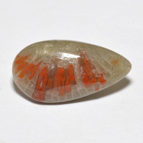4.62캐럿 천연 멀티컬러 산호, 배 모양, 18×9.5 mm, 투명한