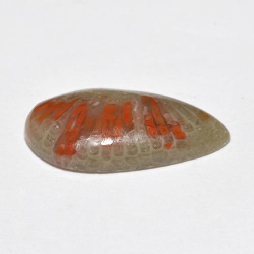 4.62캐럿 천연 멀티컬러 산호, 배 모양, 18×9.5 mm, 투명한