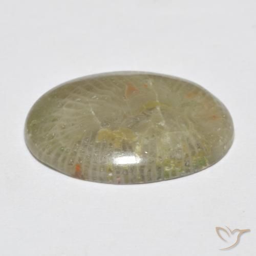 7.96캐럿 천연 다색 산호, 타원형, 불투명체