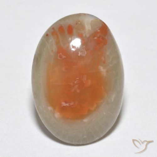 7.46ct 자연스러운 다색 산호, 타원형, 투명한