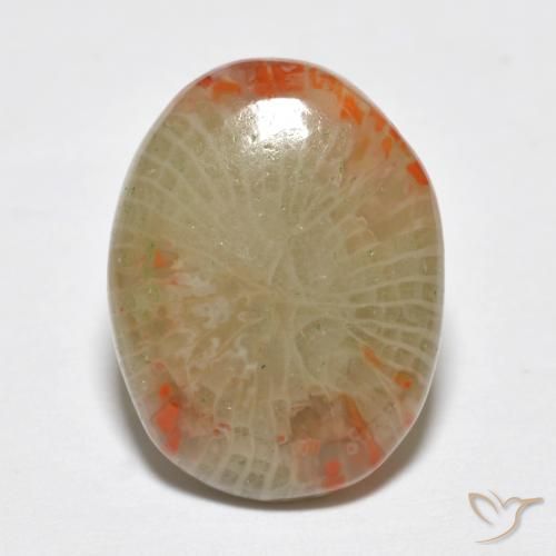 5.78ct 자연스러운 다색 산호, 타원형, 투명한