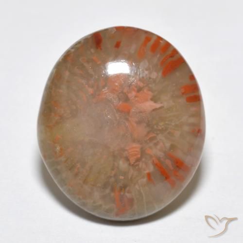 9.15ct 자연스러운 다색 산호, 타원형, 투명한