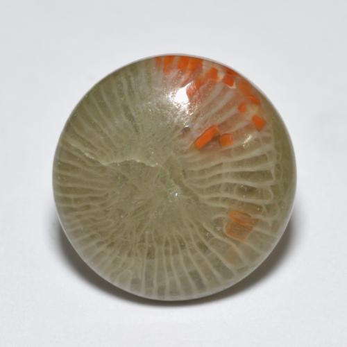 5.10캐럿 천연 멀티컬러 산호, 라운드 컷, 13.33 mm, 투명한