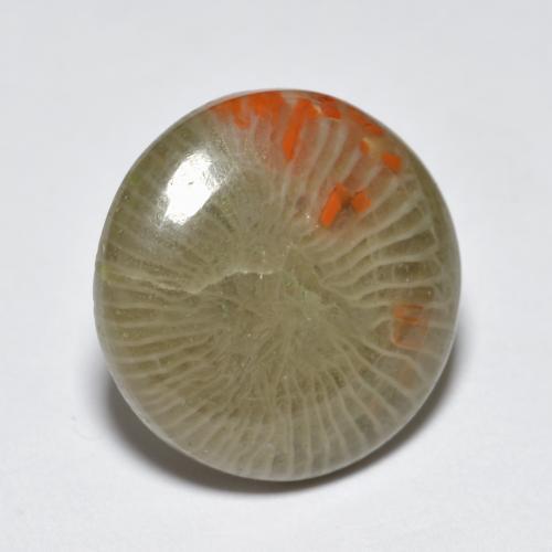 5.10캐럿 천연 멀티컬러 산호, 라운드 컷, 13.33 mm, 투명한