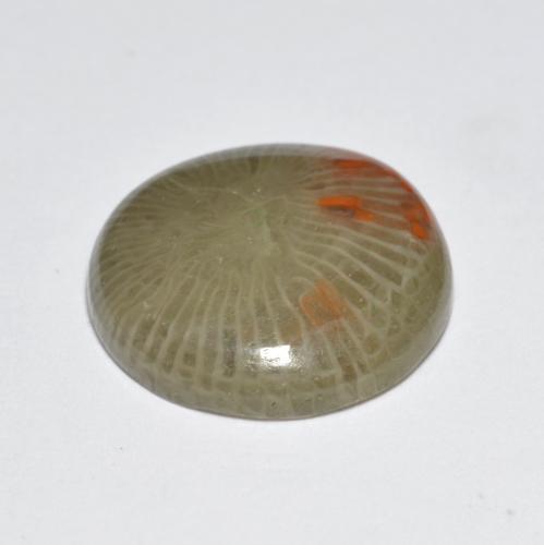 5.10캐럿 천연 멀티컬러 산호, 라운드 컷, 13.33 mm, 투명한