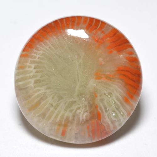 10.03캐럿 천연 멀티컬러 산호, 라운드 컷, 16.13 mm, 불투명체