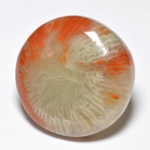 10.03캐럿 천연 멀티컬러 산호, 라운드 컷, 16.13 mm, 불투명체