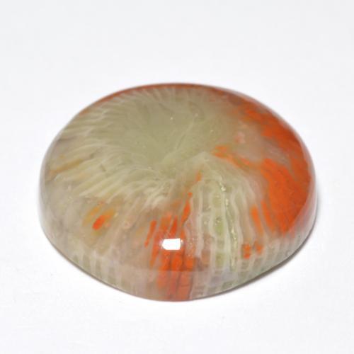 10.03캐럿 천연 멀티컬러 산호, 라운드 컷, 16.13 mm, 불투명체