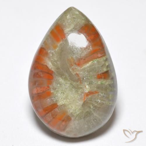 6.76ct 자연스러운 다색 산호, 배 모양, 불투명체