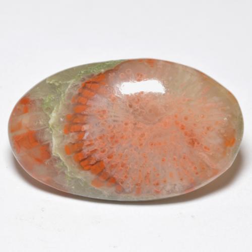 11.38캐럿 천연 멀티컬러 산호, 타원형 컷, 24.1×14.6 mm, 투명한