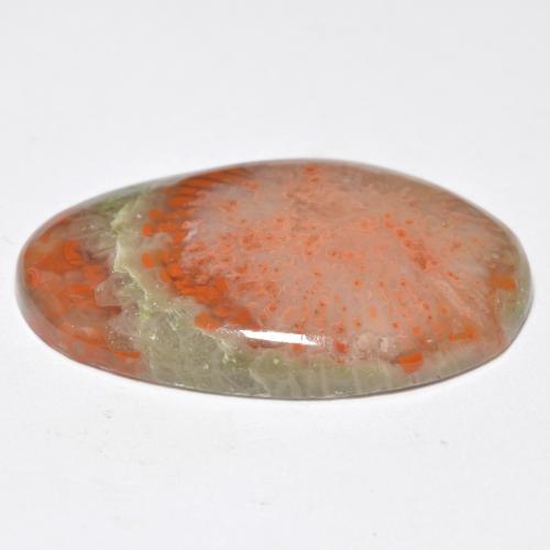 11.38캐럿 천연 멀티컬러 산호, 타원형 컷, 24.1×14.6 mm, 투명한
