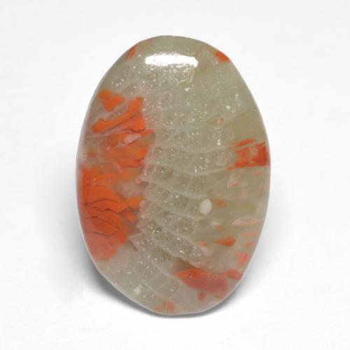 5.03캐럿 천연 멀티컬러 산호, 타원형 컷, 17.4×12 mm, 투명한