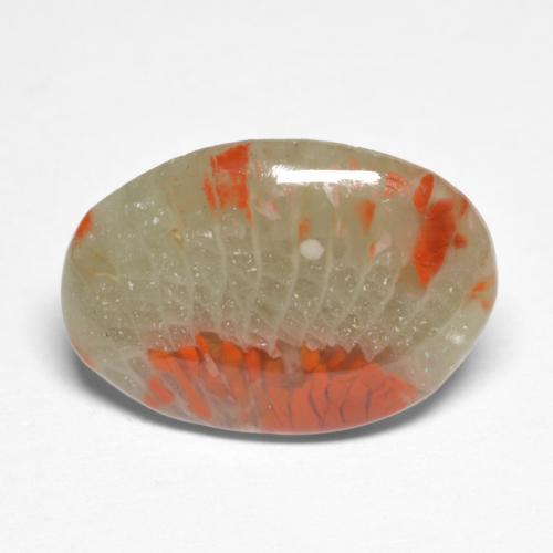 5.03캐럿 천연 멀티컬러 산호, 타원형 컷, 17.4×12 mm, 투명한