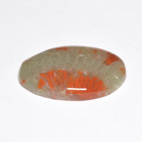 5.03캐럿 천연 멀티컬러 산호, 타원형 컷, 17.4×12 mm, 투명한