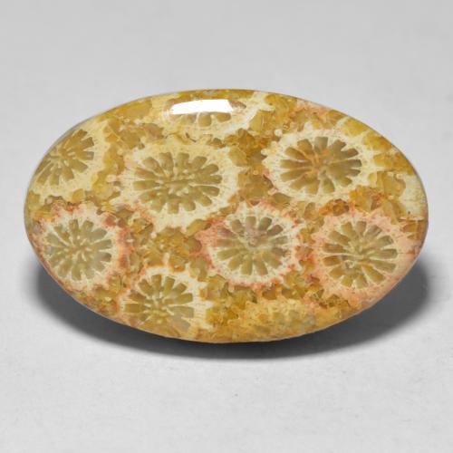15.10캐럿 천연 멀티컬러 산호, 타원형 컷, 23.3×14.6 mm, 불투명체