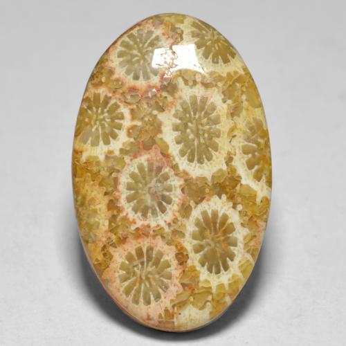 15.10캐럿 천연 멀티컬러 산호, 타원형 컷, 23.3×14.6 mm, 불투명체