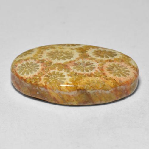 15.10캐럿 천연 멀티컬러 산호, 타원형 컷, 23.3×14.6 mm, 불투명체