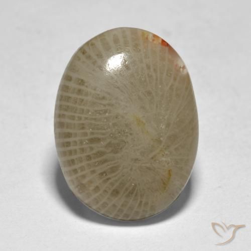 7.50ct 자연스러운 다색 산호, 타원형, 투명한