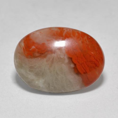 4.58캐럿 천연 멀티컬러 산호, 타원형 컷, 14.1×10.3 mm, 투명한