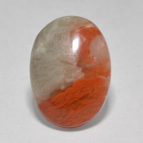 4.58캐럿 천연 멀티컬러 산호, 타원형 컷, 14.1×10.3 mm, 투명한