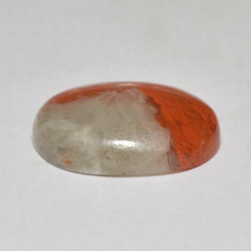 4.58캐럿 천연 멀티컬러 산호, 타원형 컷, 14.1×10.3 mm, 투명한