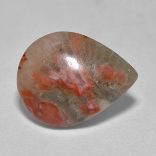 3.60캐럿 천연 멀티컬러 산호, 배 모양, 12.8×10 mm, 투명한