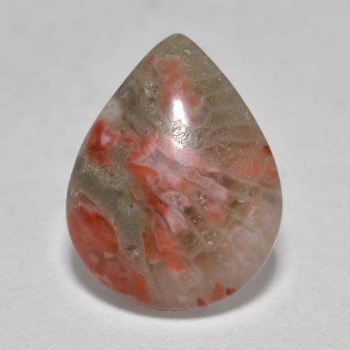 3.60캐럿 천연 멀티컬러 산호, 배 모양, 12.8×10 mm, 투명한